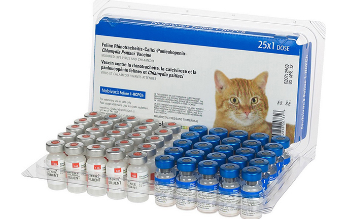 Прививки для кошек юзао thumbnail
